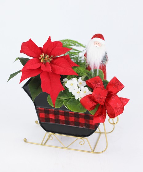 This holly jolly Santa has a poinsettia in his sleigh, just for you!  