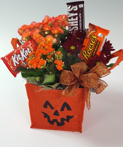 Pumpkin Treats