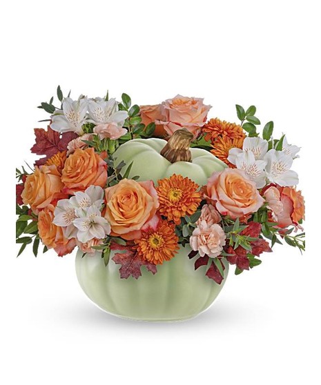 Whimsey Pumpkin- Teleflora