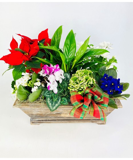 Traditional Holiday Garden