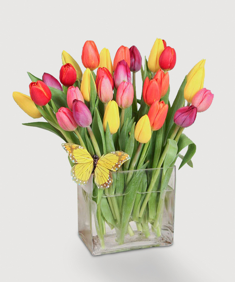 Tulip Tango