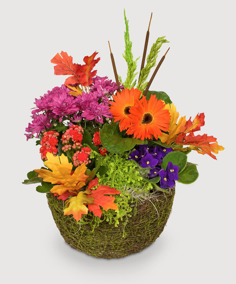 Vibrant Fall Garden