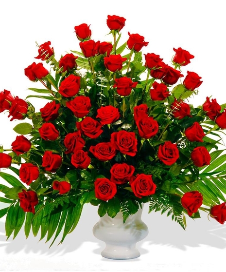 Rose Tribute