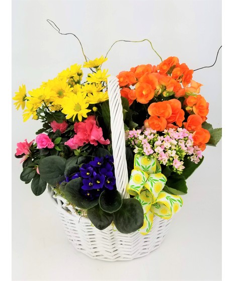 A soft watercolor of blooming plants in a white basket, accented with tropical foliage.