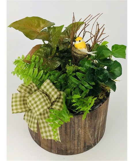 A wooden container filled with green plants that mimics the beautiful scenery found through out the Pacific Northwest!  *Garden is not intended to be put outdoors*
