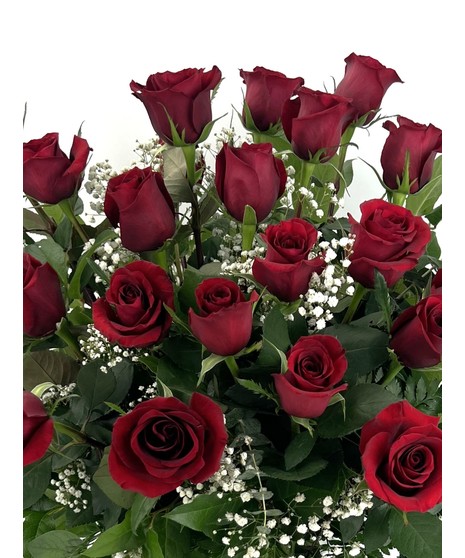 One Dozen Roses Everett & Lynnwood, WA - Same-day Delivery
