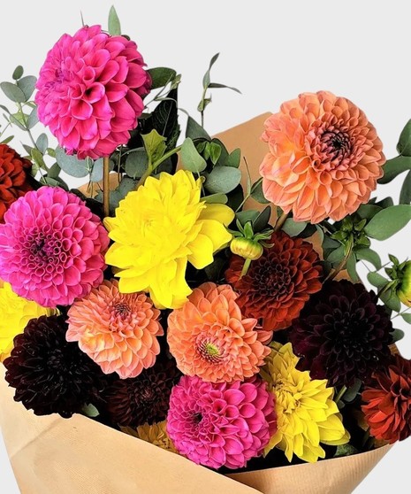 Mixed Dahlias Wrapped
