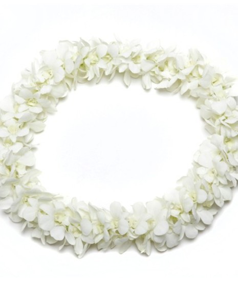 White Orchid Lei Lynnwood (WA) Same-day Graduation Delivery