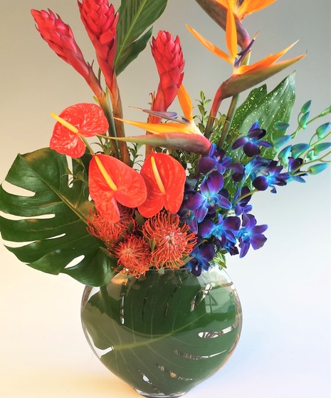 Tropical Ginger , orchids & Antherium design complimented with tropical foliage. Send a beautifully crafted Keepsake vase with fresh tropical flowers.