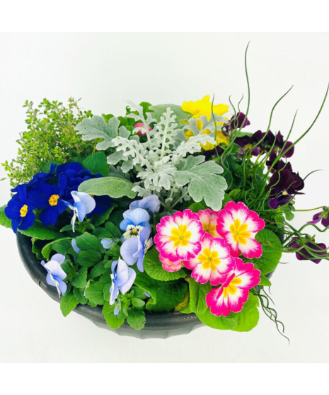 A beautiful planter filled with an assortment of outdoor spring flowers. A great way to brighten up the outdoors!