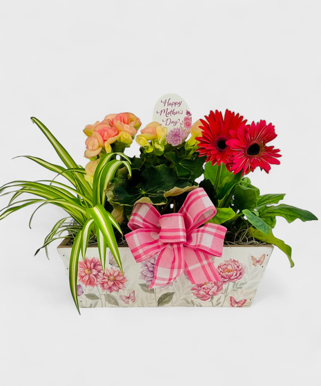 Happy Mother's Day Garden