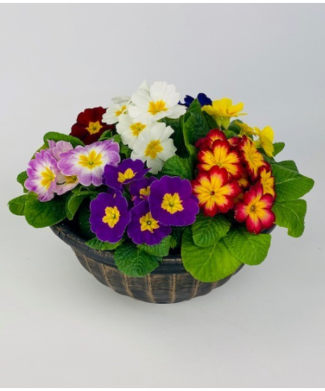 A beautiful planter filled with an assortment of outdoor spring flowers. A great way to brighten up the outdoors!