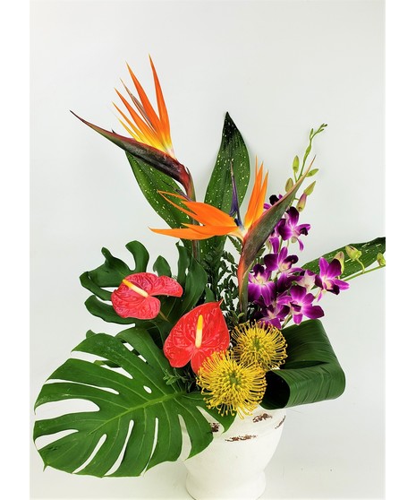  Glass Bowl. This beautiful ocean inspired design includes Orchids, lily and roses. A fragrant and exciting floral arrangement 