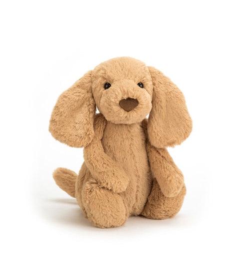 Bashful Toffee Puppy is a gorgeous retriever, but he’s still learning how to spell that!