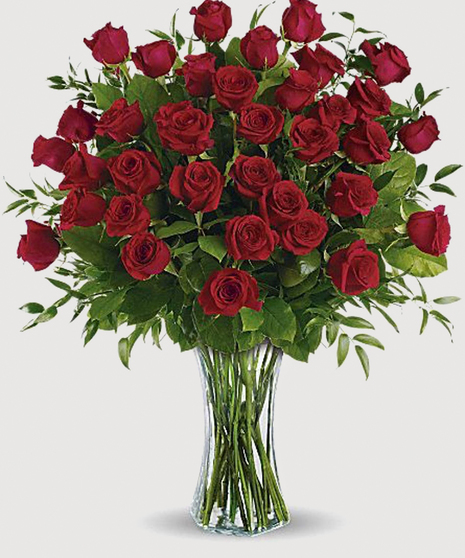 Red Roses designed in a large clear vase with lush greenery. Choose from 24 stems  or 48 stems.