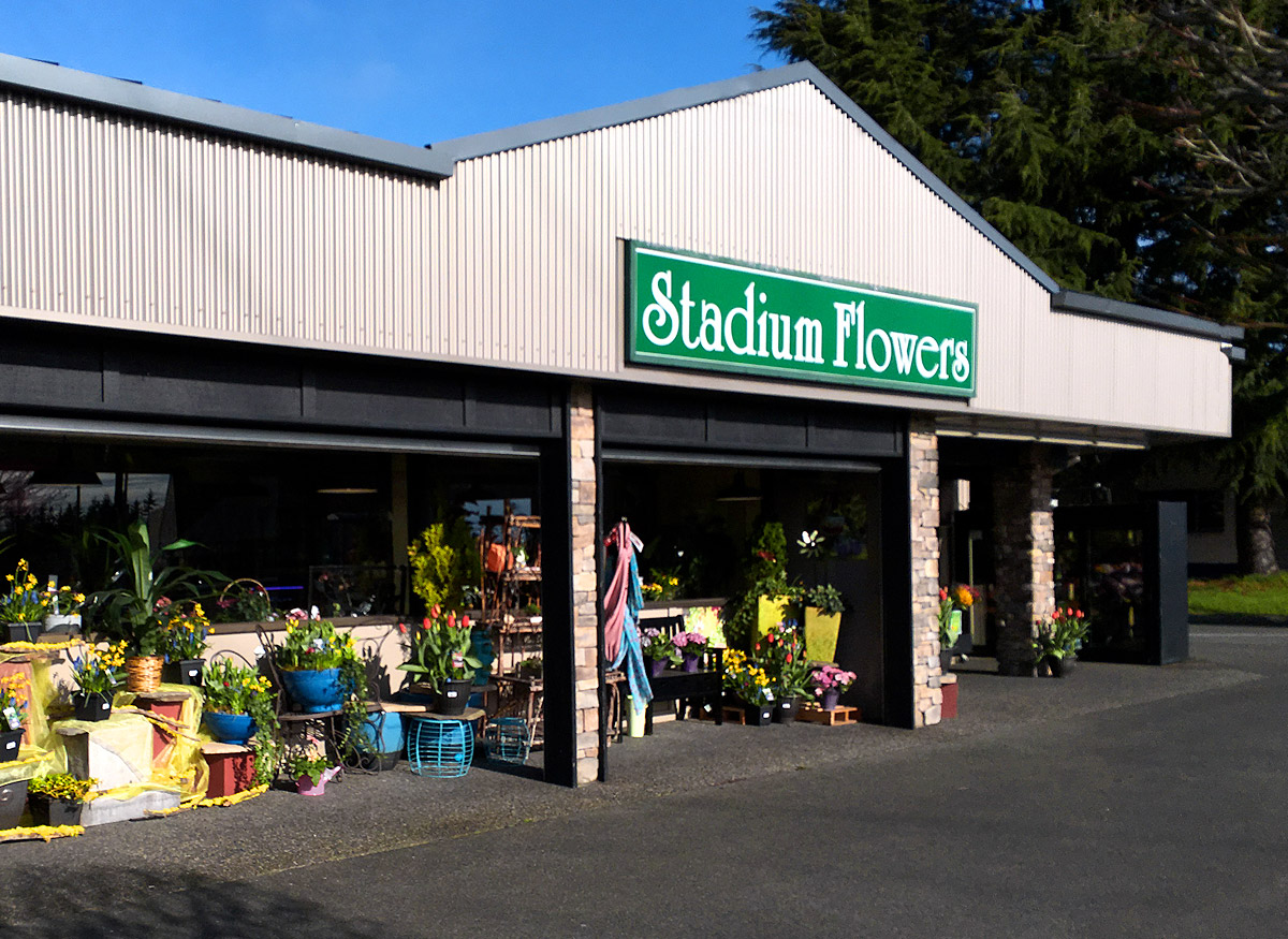 Lynnwood Location